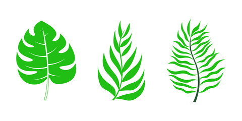 Set of tropical leaves/ Hibiscus aloha branch leaf collection