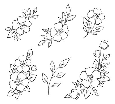 Minimalistic floral decorative elements. For the design of postcards, invitations, stickers, minimal tattoos. Set of natural flower drawings, vector illustration.