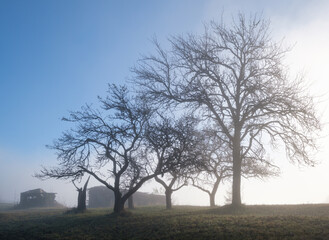 Foggy autumn mountain sunrise scene. Peaceful picturesque traveling, seasonal, nature and countryside beauty concept scene.