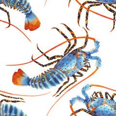 Beautiful vector seamless sea life pattern with watercolor hand drawn rainbow lobster. Stock illustration.