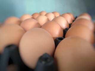 Several eggs were placed on the shelves, the sides were blurred.