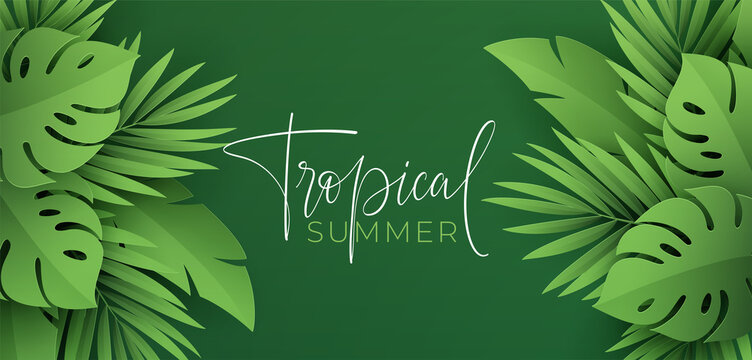 Hello Summer banner. Paper-cut green tropical leaves of palm, monstera. Summer background with tropical plant leaf. Vector illustration