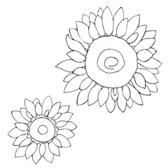 Doodle style of Sunflower flowers. Freehand drawing. Summer season. Vector illustration
