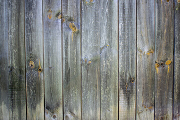 Texture of the old wooden panel
