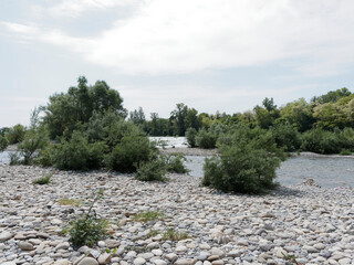 Isteiner Schwellen. Idyllische Rheinlandschaft. Wilde Natur entlang Altrhein und Rundwanderweg. Umgestaltung des die Schwellen umgebenden Uferbereiches