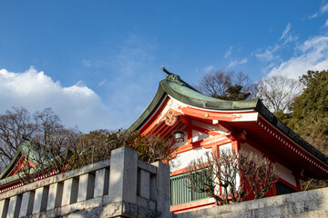 Fototapeta na wymiar 新年の寺社仏閣