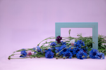 Beautiful summer bouquet of multicolored cornflowers in a frame on a pink background