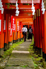 Fototapeta premium 清閑な稲荷神社の鳥居