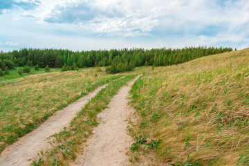 Obraz premium Hilly landscape with green meadows. Amazing view of rural scenery