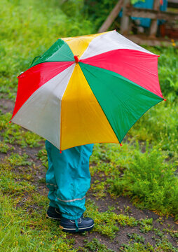 a small child hides from the rain under a bright umbrella. a walk with a child in the rain