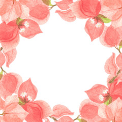 Frame made of red bougainvillea flowers.