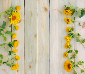 Naklejka na ściany i meble Sunflower flowers lie in a row along the edges of a wooden board with space for text