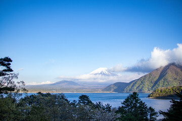 雪をかぶった富士山