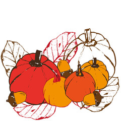 Pumpkins and leaves, autumn illustration, handdrawn, thanksgiving, placement