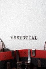 Essential concept view
