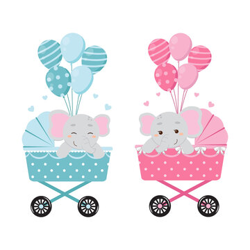 Cute elephant on baby carriage with balloons. Baby gender reveal boy or girl clip art. Flat vector cartoon