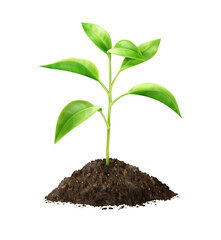 Vector small green sprout in soil with bokeh background