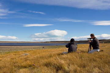 bird watching, Patagonia, Argentina