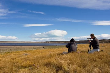 Fototapeten bird watching, Patagonia, Argentina © AGAMI