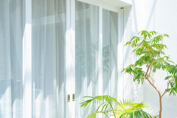 Veranda plants and white curtains