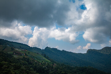 Good atmosphere with beautiful nature