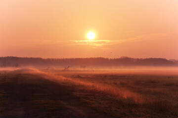 Fototapeta na wymiar Moorlandschaft im Nebel mit Sonnenaufgang