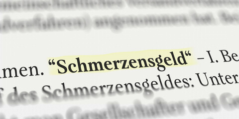 Schmerzensgeld im Buch mit Textmarker markiert