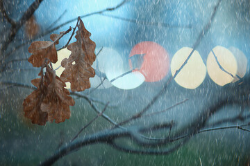 abstract rain background park gloomy drops, seasonal concept sad