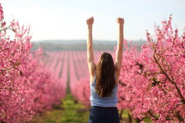 Happy woman raising arms in a pink flowered field - obrazy, fototapety, plakaty