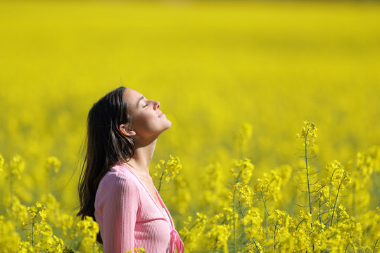 Relaxed woman breathing in a yellow field in spring