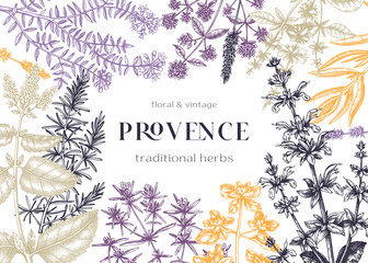 Traditional Provence herbs frame design. Vector frame with savory, marjoram, rosemary, thyme, oregano, lavender illustrations. Hand-sketched kitchen herbs, aromatic and medicinal plants - obrazy, fototapety, plakaty