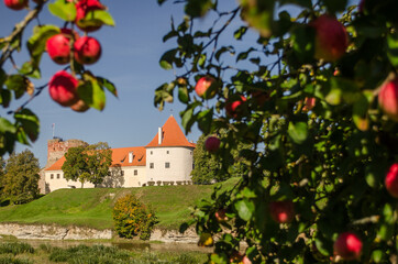 Fototapeta na wymiar Bauska city castle in Latvia up in the hill. Apple tree with red apples