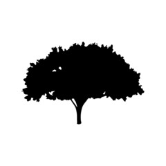 tree silhouette on white background