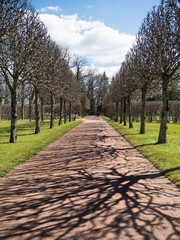A path in a city park. On the path there is a shadow from the branches of trees. There are trees on the sides of the road. Beautiful landscape in the city park