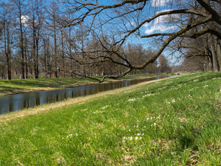 City landscape in the park. A narrow river, green grass and trees grow along the banks of the river. The branches of the tree creep to the water. Blue sky and stone bridge in the background.