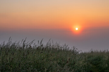 sunrise over the field