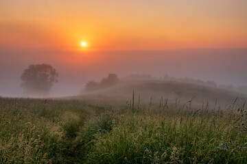 Morning fog over the field, Cieszyn, Poland