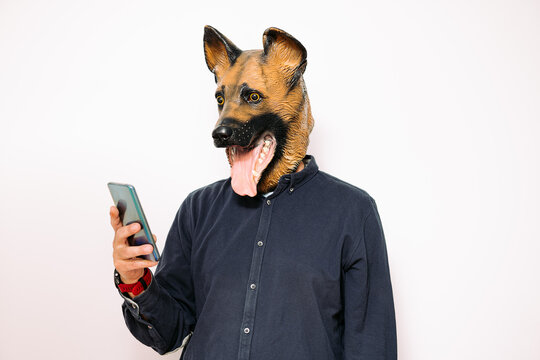man with a dog mask looking at his mobile phone