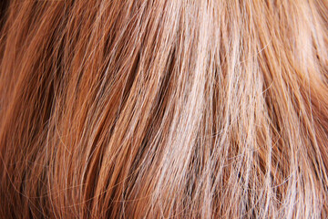 red hair of a brown-haired woman in straight curls