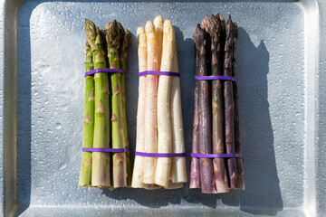 Green, purple and white asparagus sprouts