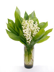 Obraz premium posy of Convallaria maialis white flowers close up