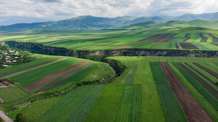 Fototapeta premium view of a country agricultural landscape