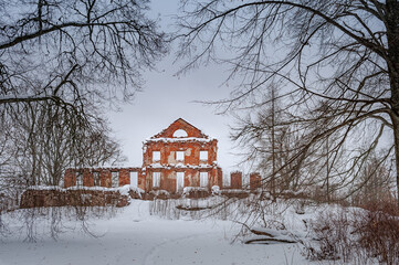 The ruins of the old manor house built of red brick with pillars in the front located in the thickets of bushes, winter snow day. Ruins of Vecmoku manor. Latvia.