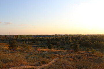 Sunrise in the forest