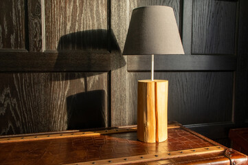 single lamp on table top in front of dark paneled wall in natural light casting its shadow on the wall with copy space