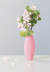branches of  apple tree with flowers in pink vase on white table
