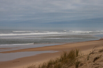 Les vagues déferlantes et blanches d´écume avec les baïnes et la plage de sable des Landes en France. Au premier plan se trouve de l´oyat l´herbe poussant sur les dunes.