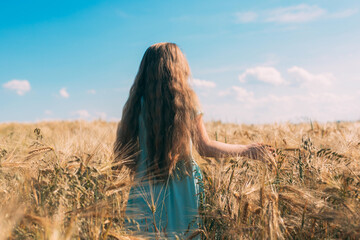 A long-haired fair-haired girl walks in a golden field of rye. View from the back. The freedom and joy of being in nature. Summer mood
