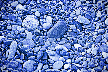 The image is tinted in the color of the year-classic blue.