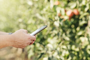 Young businessman with device works on eco farm and takes photo